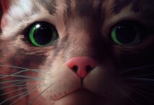Фото - Британские чарты: розничная версия кошачьего приключения Stray прокралась в первую тройку